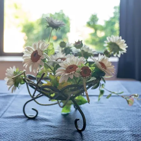 Couette-café Millennium 3*