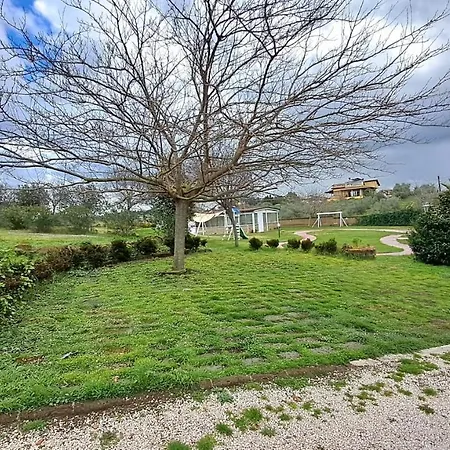 Bed & Breakfast Millennium Ladispoli