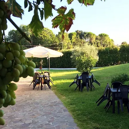 Millennium 3* Ladispoli